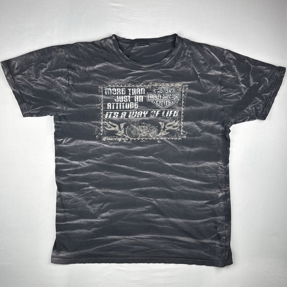 Harley-Davidson Al Muth Black River Falls Wisconsin 2009 T-Shirt XL Distressed
